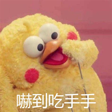 嚇死鳥|鸚鵡被嚇到了怎麼辦